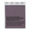 Pantone Smart 17-1708 TCX Color Swatch Card | Moonscape