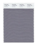 Pantone Smart 17-3907 TCX Color Swatch Card | Quicksilver