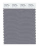Pantone Smart 17-3911 TCX Color Swatch Card | Silver Filigree