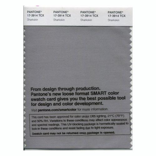 Pantone Smart 17-3914 TCX Color Swatch Card | Sharkskin