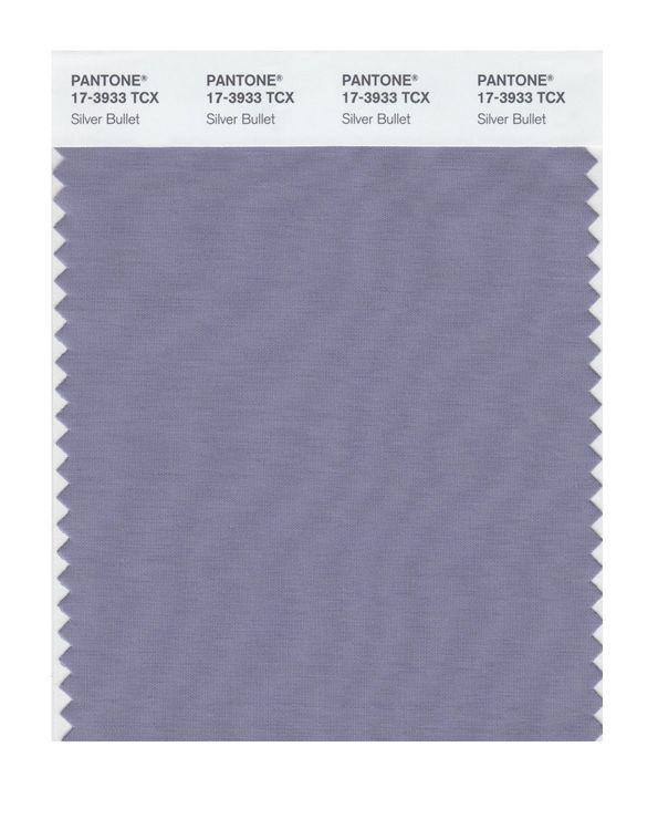Pantone Smart 17-3933 TCX Color Swatch Card | Silver Bullet