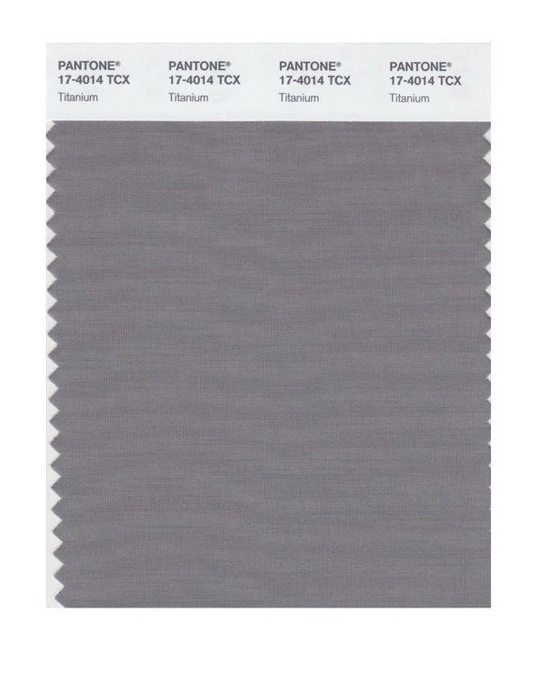 Pantone Smart 17-4014 TCX Color Swatch Card | Titanium