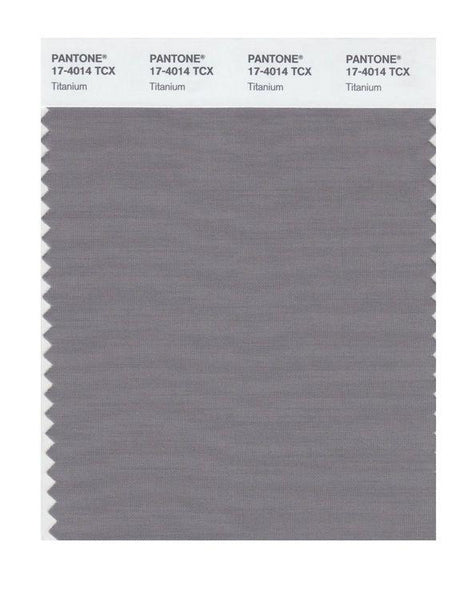 Pantone Smart 17-4014 TCX Color Swatch Card | Titanium | Magazine