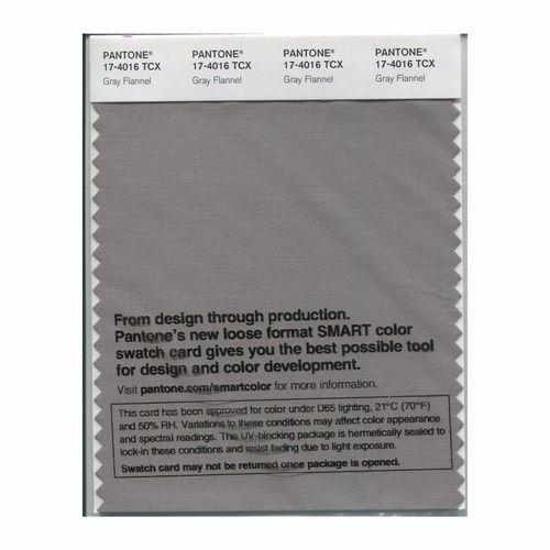 Pantone Smart 17-4016 TCX Color Swatch Card | Gray Flannel