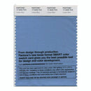 Pantone Smart 17-4032 TCX Color Swatch Card | Lichen Blue
