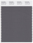 Pantone Smart 18-0000 TCX Color Swatch Card | Smoked Pearl