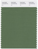 Pantone Smart 18-0108 TCX Color Swatch Card | Dill