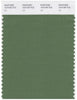 Pantone Smart 18-0108 TCX Color Swatch Card | Dill