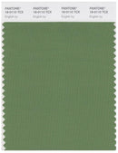 Pantone Smart 18-0110 TCX Color Swatch Card | English Ivy