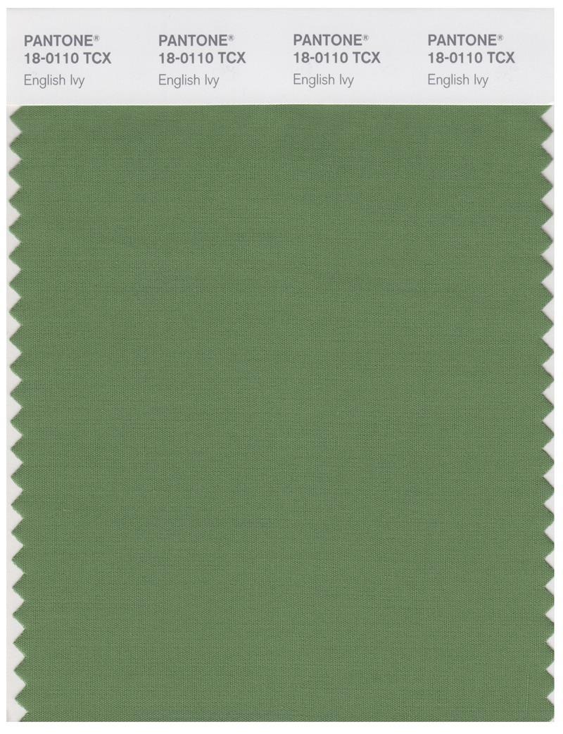 Pantone Smart 18-0110 TCX Color Swatch Card | English Ivy