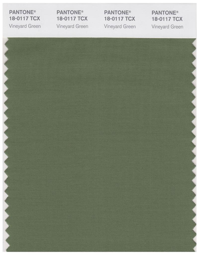 Pantone Smart 18-0117 TCX Color Swatch Card | Vineyard Green