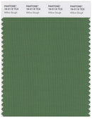Pantone Smart 18-0119 TCX Color Swatch Card | Willow Bough