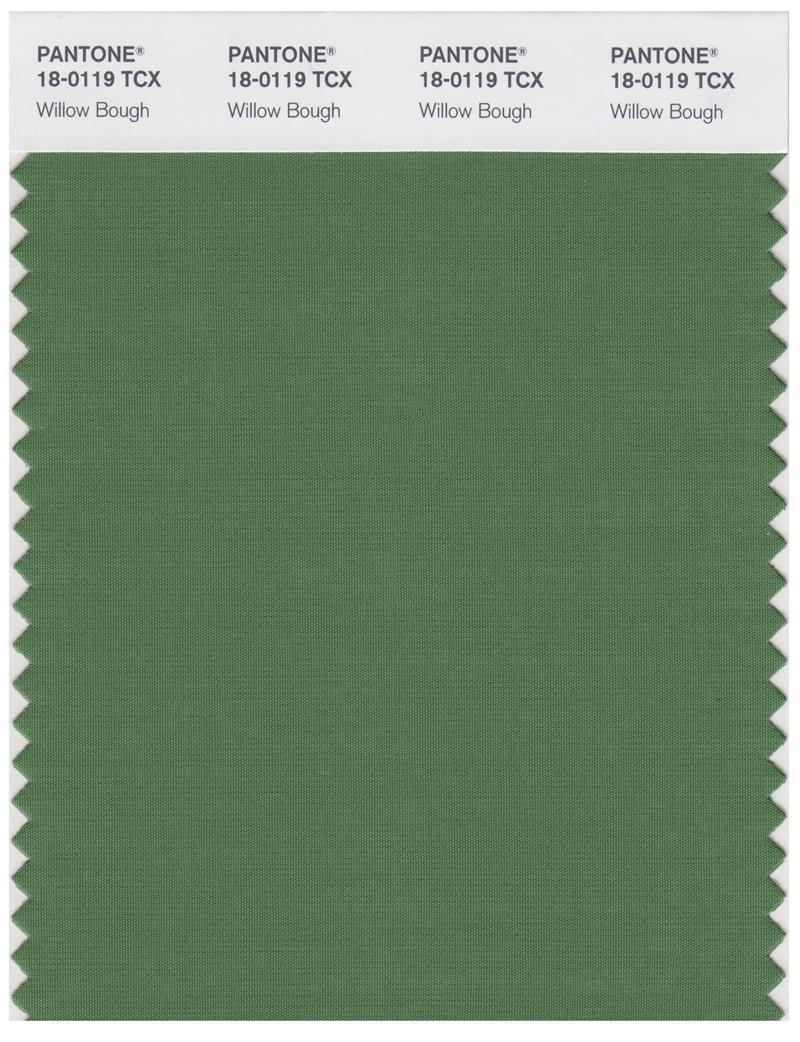 Pantone Smart 18-0119 TCX Color Swatch Card | Willow Bough