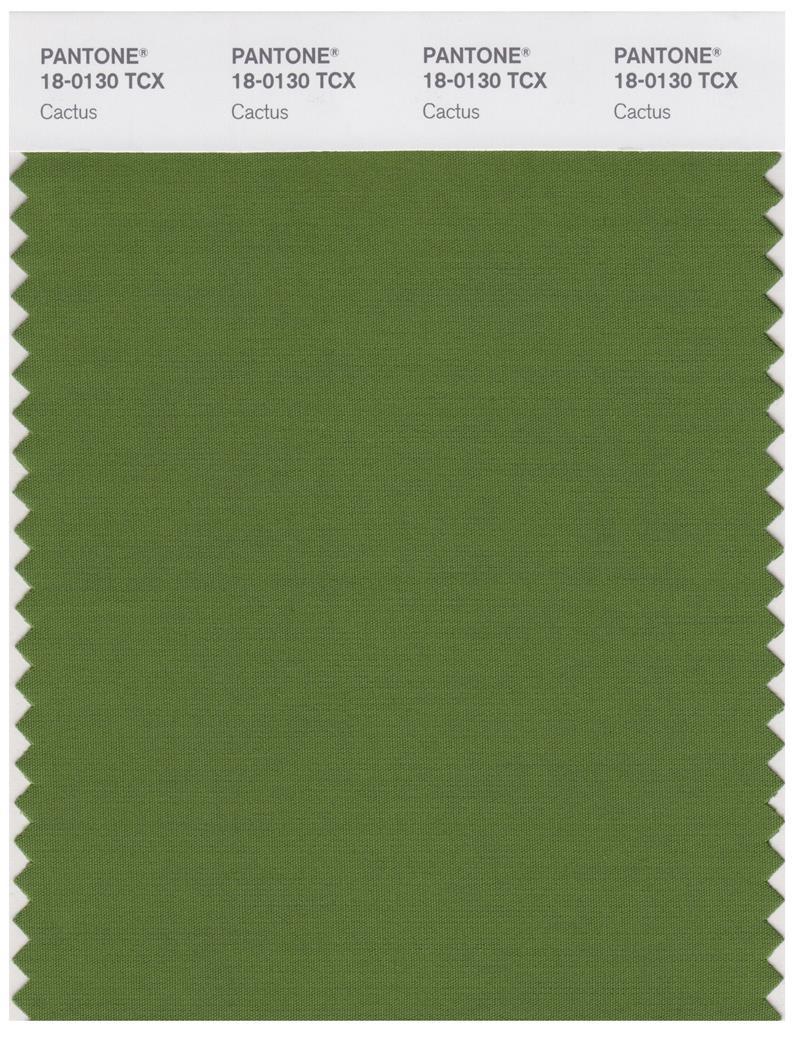 Pantone Smart 18-0130 TCX Color Swatch Card