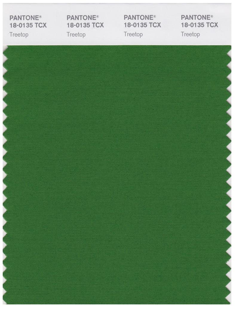 Pantone Smart 18-0135 TCX Color Swatch Card | Treetop