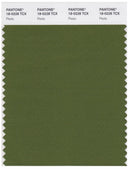 Pantone Smart 18-0228 TCX Color Swatch Card | Pesto