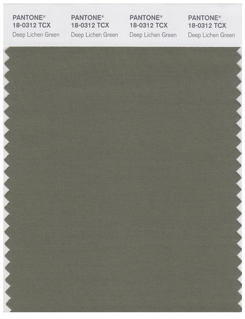 Pantone Smart 18-0312 TCX Color Swatch Card | Deep Lichen Green ...