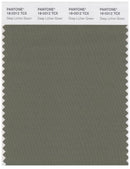 Pantone Smart 18-0312 TCX Color Swatch Card | Deep Lichen Green