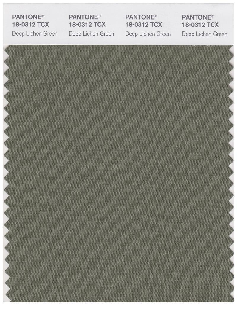 Pantone Smart 18-0312 TCX Color Swatch Card | Deep Lichen Green