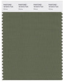 Pantone Smart 18-0316 TCX Color Swatch Card | Olivine