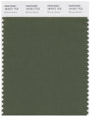 Pantone Smart 18-0317 TCX Color Swatch Card | Bronze Green