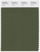 Pantone Smart 18-0322 TCX Color Swatch Card | Cypress