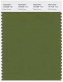 Pantone Smart 18-0328 TCX Color Swatch Card | Cedar Green