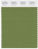Pantone Smart 18-0332 TCX Color Swatch Card | Grasshopper