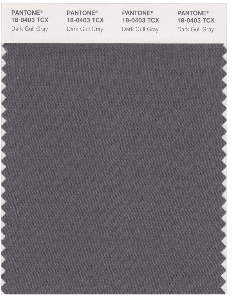 Pantone Smart 18-0403 TCX Color Swatch Card | Dark Gull Gray