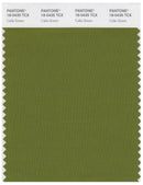 Pantone Smart 18-0435 TCX Color Swatch Card | Calla Green