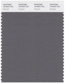 Pantone Smart 18-0503 TCX Color Swatch Card | Gargoyle
