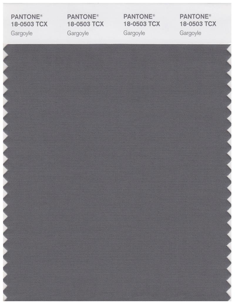 Pantone Smart 18-0503 TCX Color Swatch Card | Gargoyle