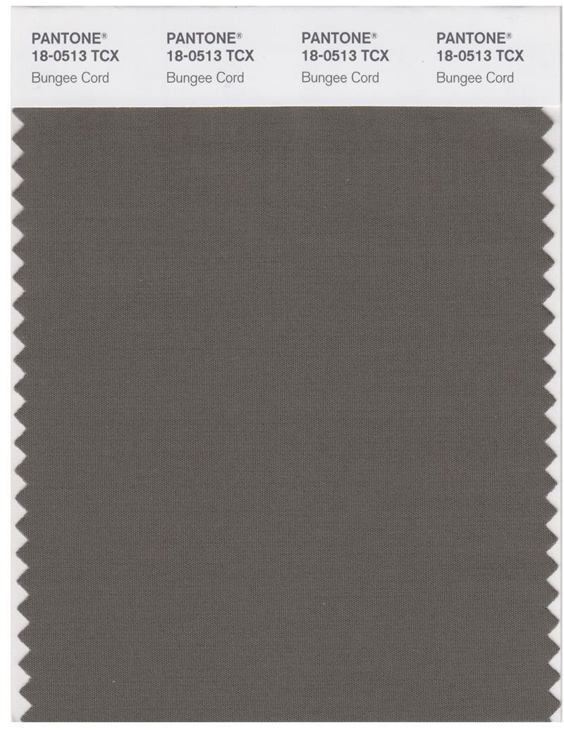 Pantone Smart 180513 TCX Color Swatch Card Bungee Cord Magazine