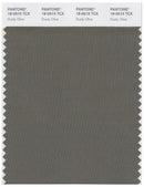 Pantone Smart 18-0515 TCX Color Swatch Card | Dusty Olive
