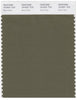 Pantone Smart 18-0521 TCX Color Swatch Card | Burnt Olive