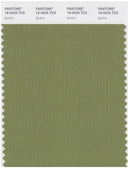 Pantone Smart 18-0525 TCX Color Swatch Card | Iguana