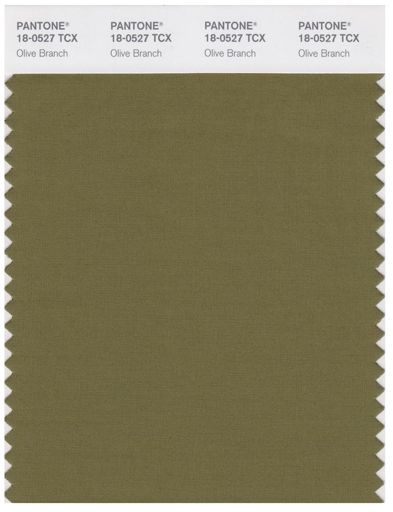 Pantone Smart 18-0527 TCX Color Swatch Card | Oliver Branch