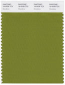Pantone Smart 18-0538 TCX Color Swatch Card | Woodbine
