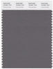 Pantone Smart 18-0601 TCX Color Swatch Card | Charcoal Gray
