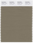 Pantone Smart 18-0617 TCX Color Swatch Card | Covert Green