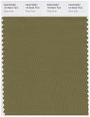 Pantone Smart 18-0622 TCX Color Swatch Card | Olive Drab