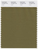 Pantone Smart 18-0629 TCX Color Swatch Card | Lizard
