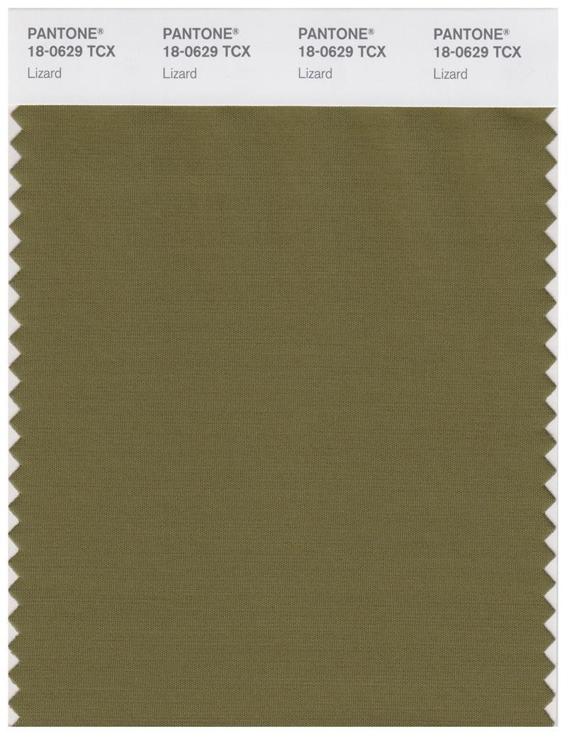 Pantone Smart 18-0629 TCX Color Swatch Card | Lizard
