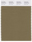 Pantone Smart 18-0724 TCX Color Swatch Card | Gothic Olive