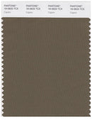 Pantone Smart 18-0820 TCX Color Swatch Card | Capers