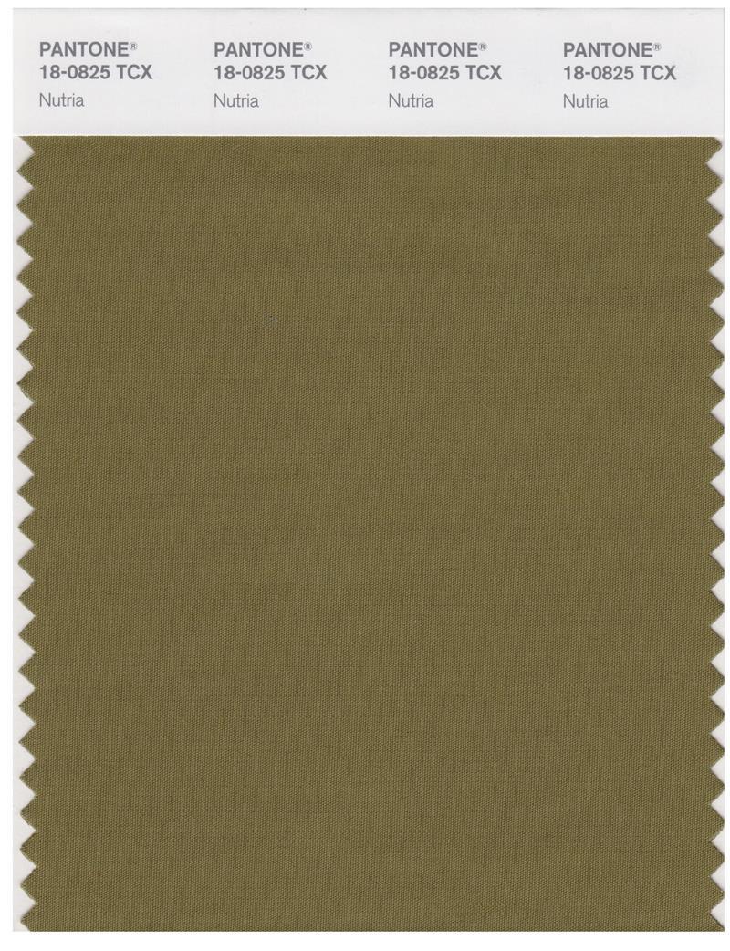 Pantone Smart 18-0825 TCX Color Swatch Card | Nutria | Magazine