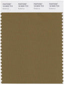 Pantone Smart 18-0830 TCX Color Swatch Card | Butternut