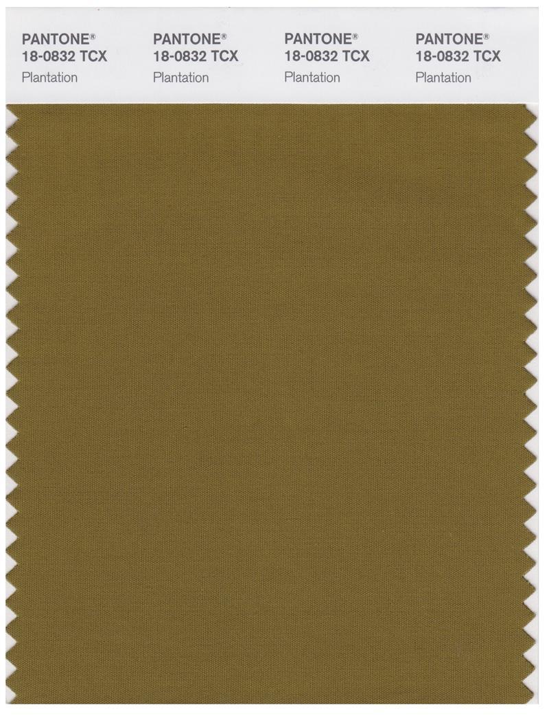 Pantone Smart 18-0832 TCX Color Swatch Card | Plantation
