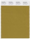 Pantone Smart 18-0835 TCX Color Swatch Card | Dried Tabacco