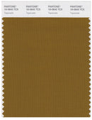 Pantone Smart 18-0840 TCX Color Swatch Card | Tapenade